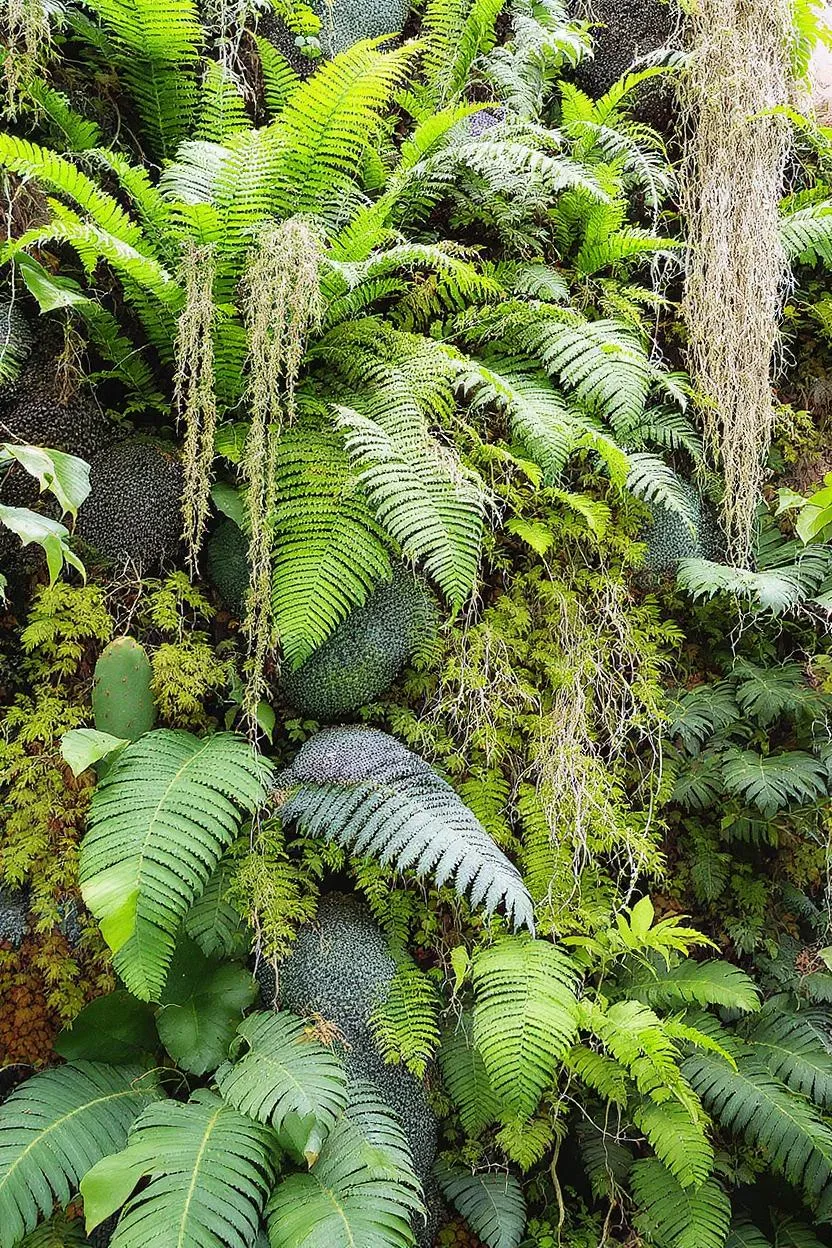 Integrating Ferns, Cacti, and Hanging Greenery