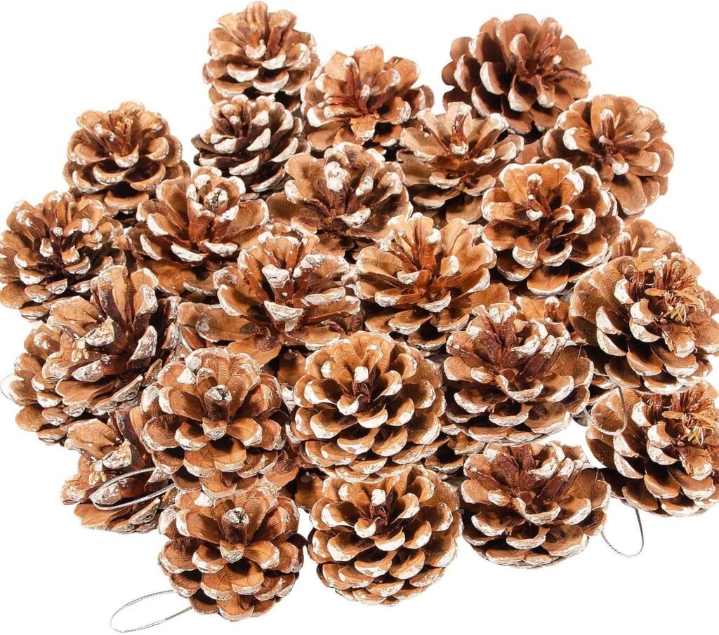 24PCS Christmas Natural Pine Cones,Rustic Pinecones with String for Crafts & Decorating Winter Xmax Holidays Vase and Table Bowl Fillers(Dia. 1.57-1.96 Inches)