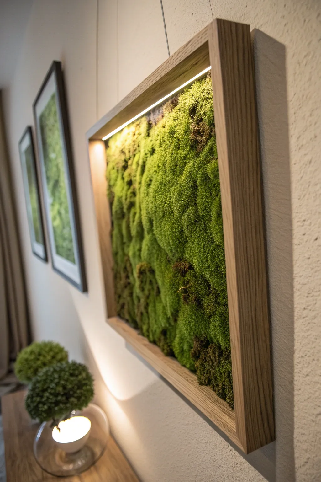 Framed moss wall art in a shadow box, showcasing preserved moss textures.
