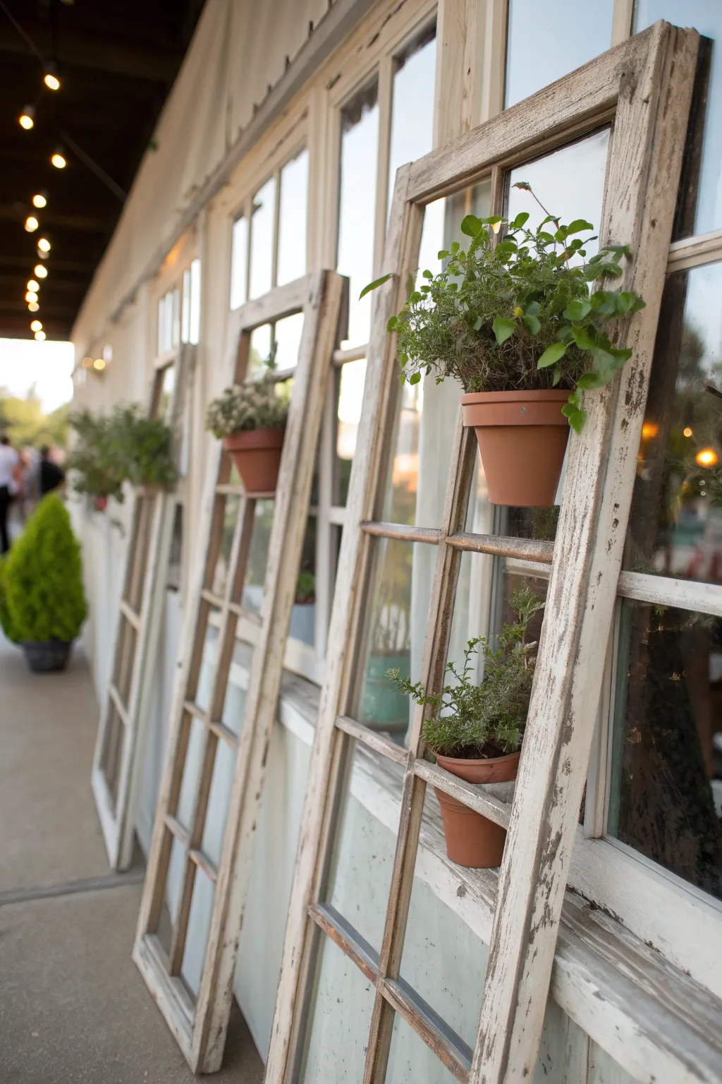 Charming plant holders made from repurposed window frames with pots.