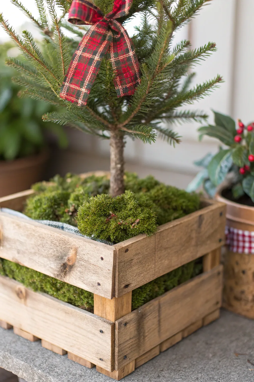 Rustic wooden crate planter with a small Christmas tree, moss, and plaid ribbon on a cozy porch.