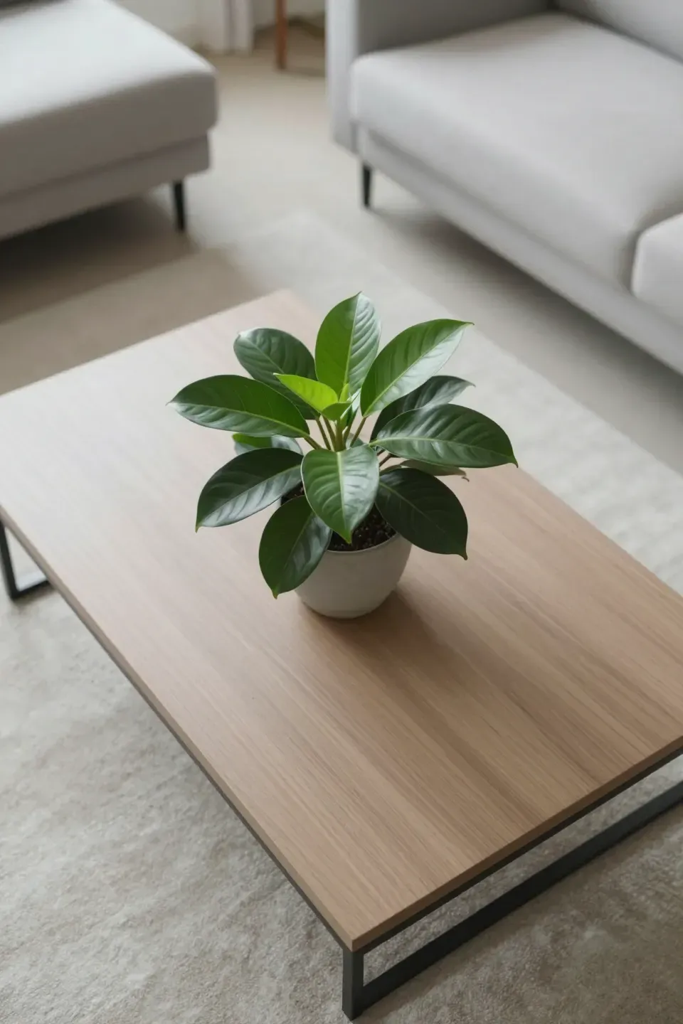 A minimalist coffee table with a single plant in a serene living room.