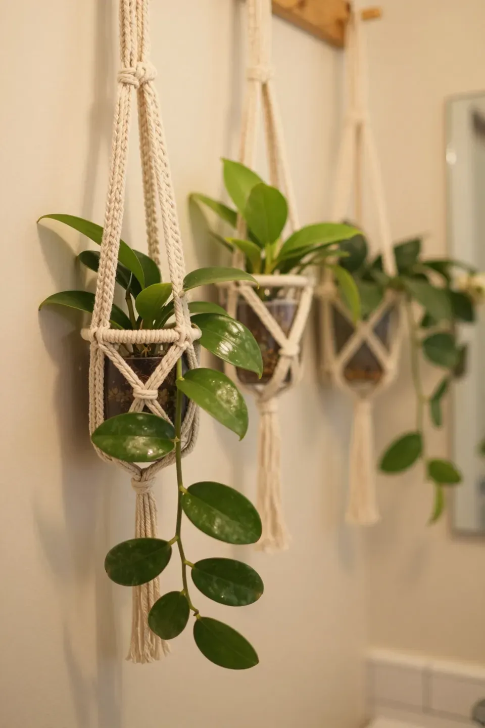 Hoya plants in macrame holders, adding warmth and texture to a bathroom.