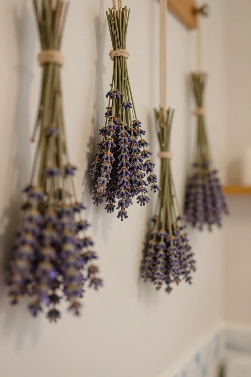 Dried lavender bundles hanging in a bathroom, adding charm and fragrance.