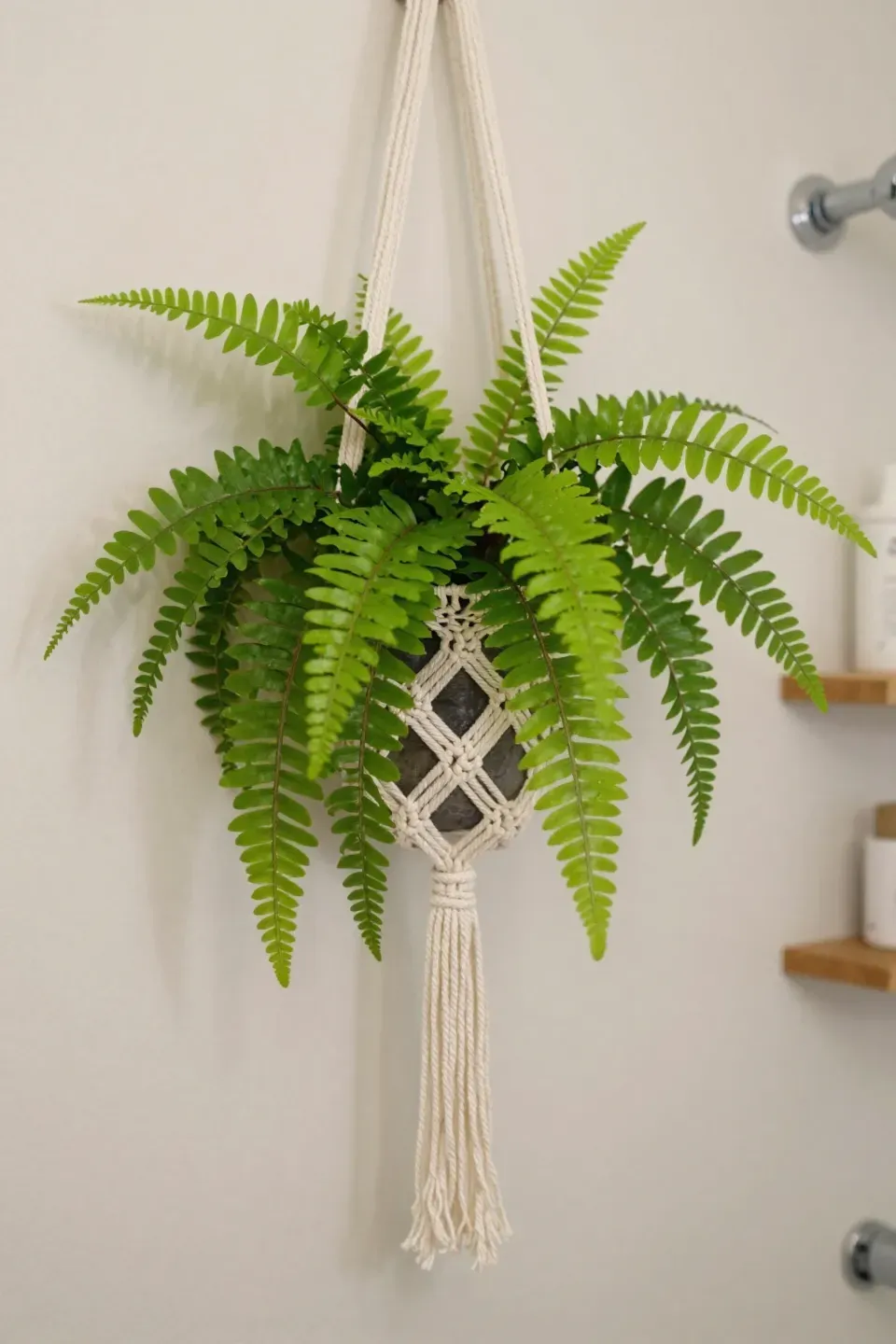 A macrame plant hanger by the shower with a lush fern or pothos plant.