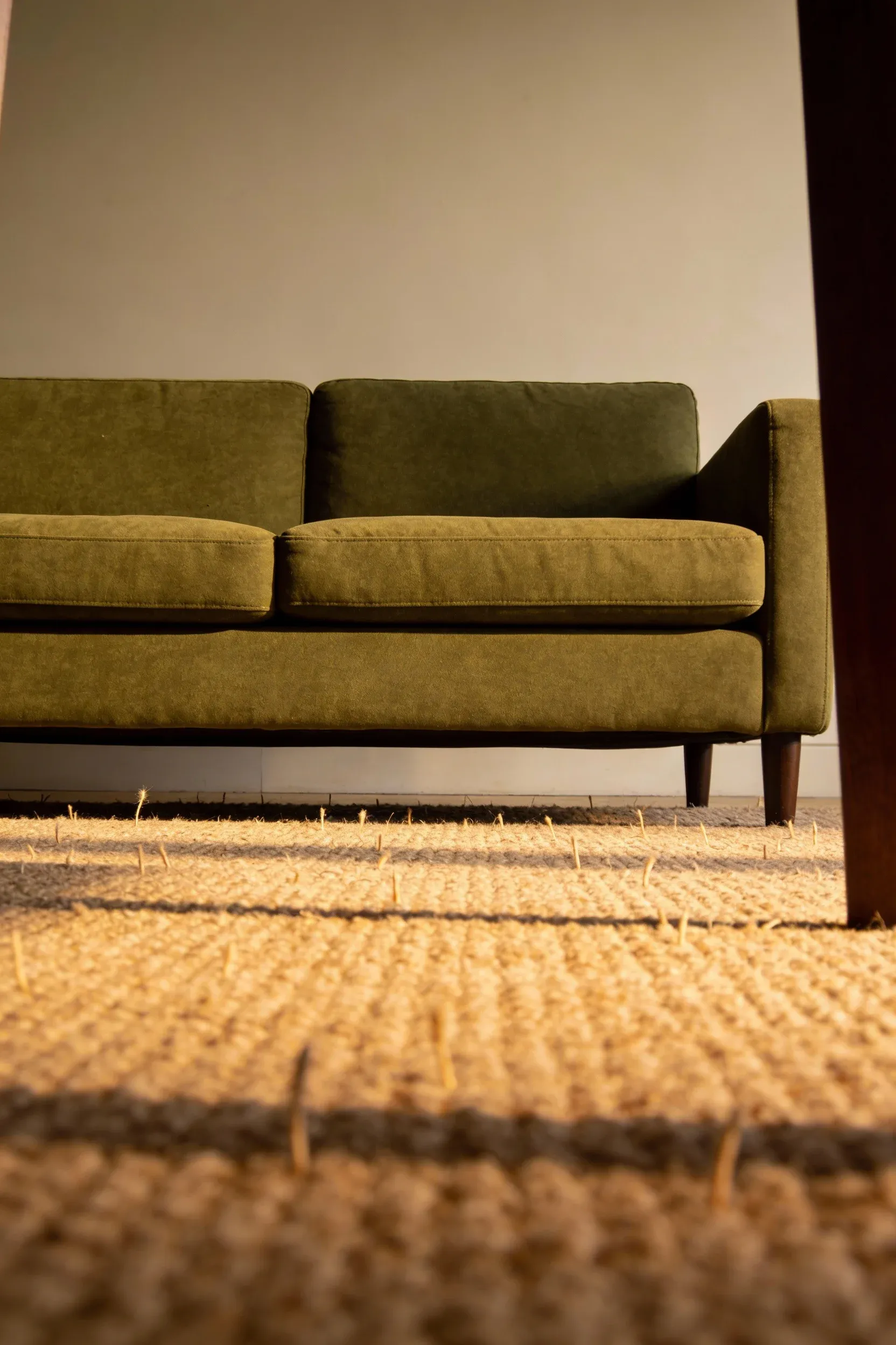 Olive green couch resting on warm beige carpeting in a cozy, softly lit living room.