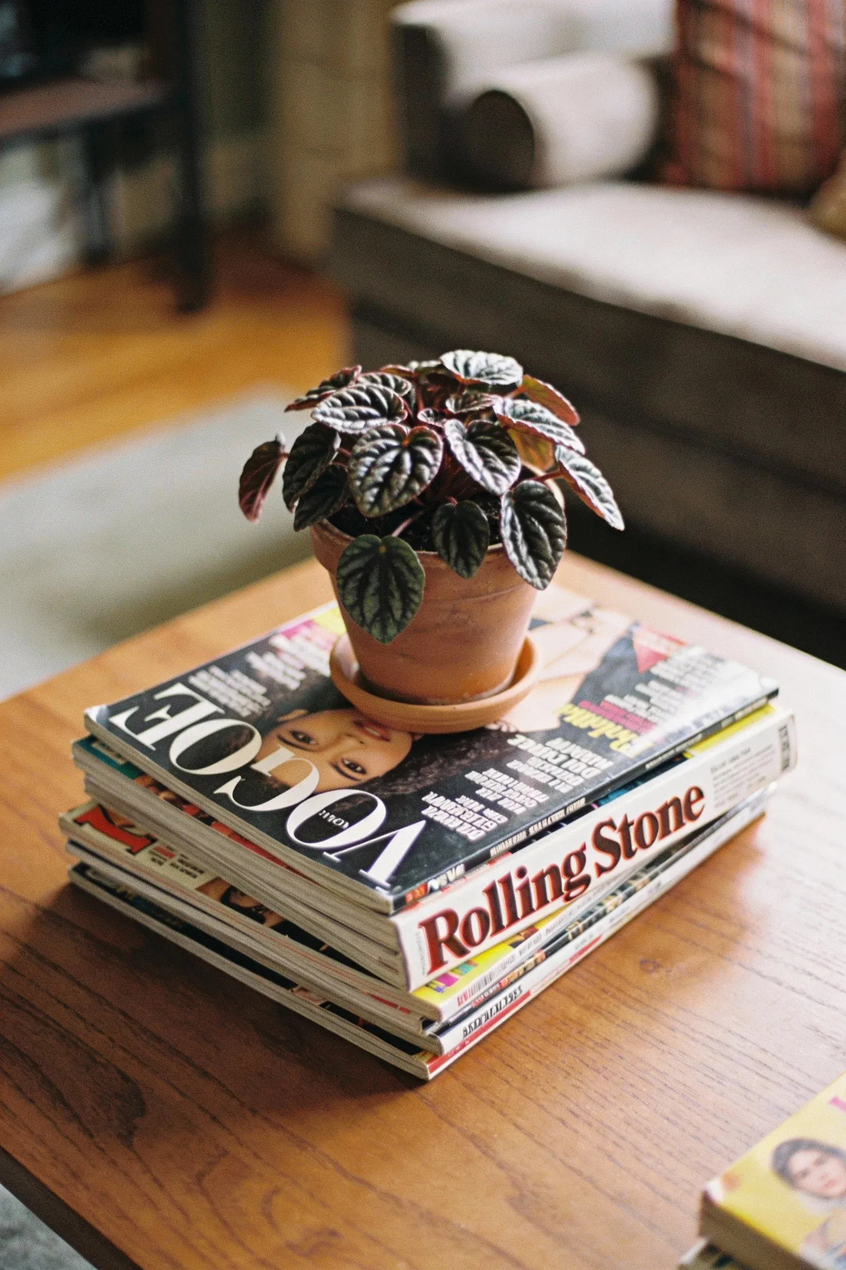 An oak coffee table with a stylish stack of late 90s magazines.