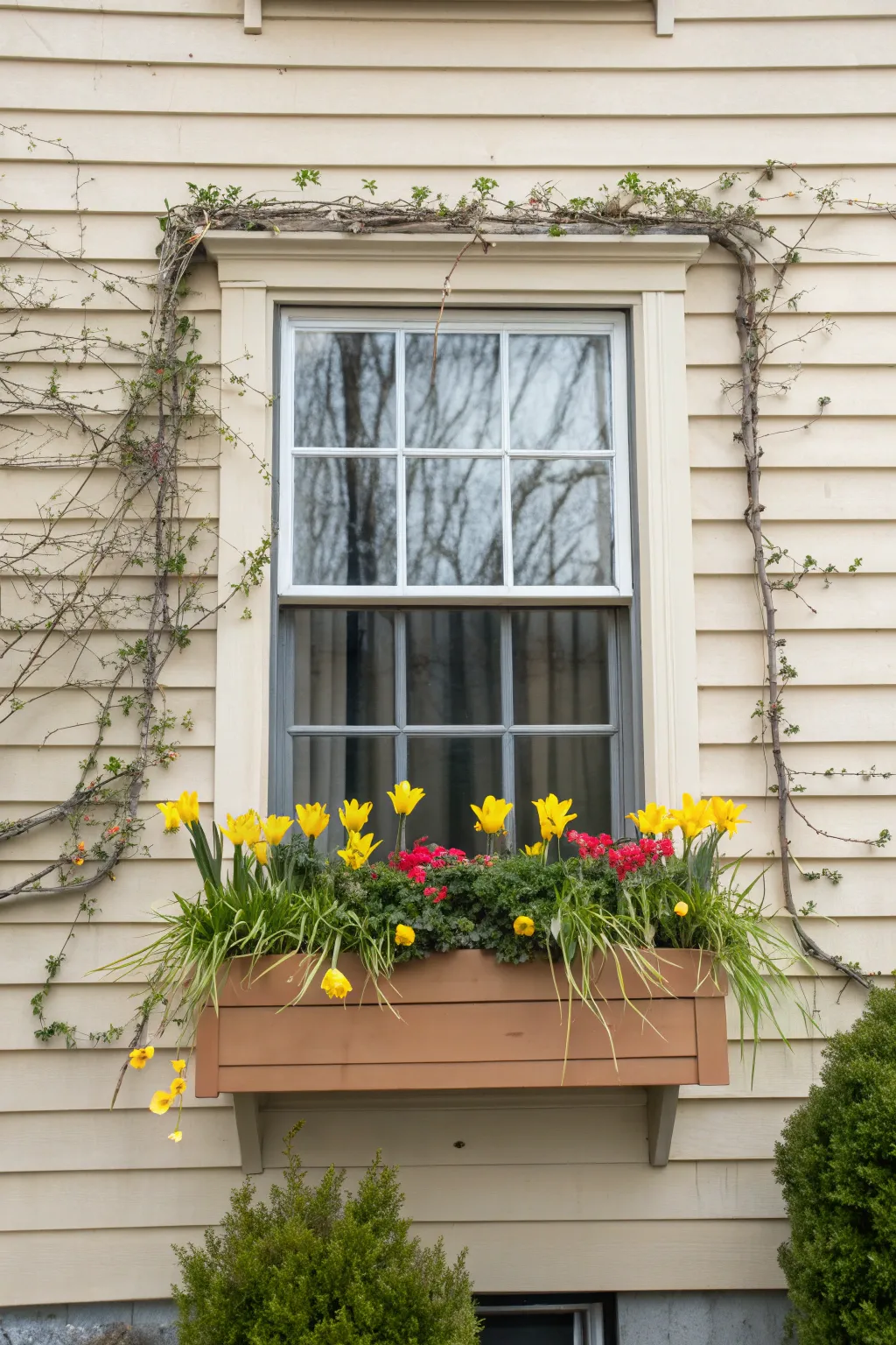 A vibrant flower box filled with seasonal flowers like daffodils and tulips under a cottage-style window.