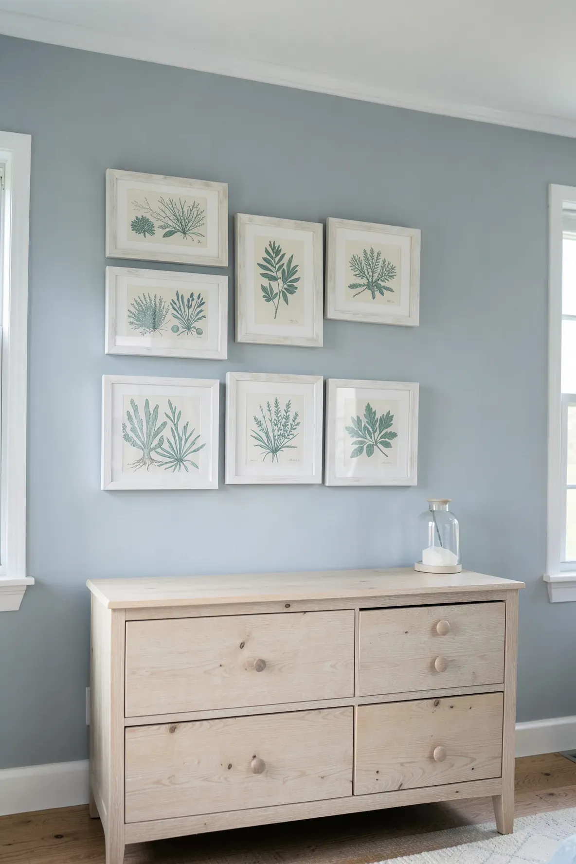 Whitewashed wooden frames with sea plant art on a soft blue wall in a bright room.