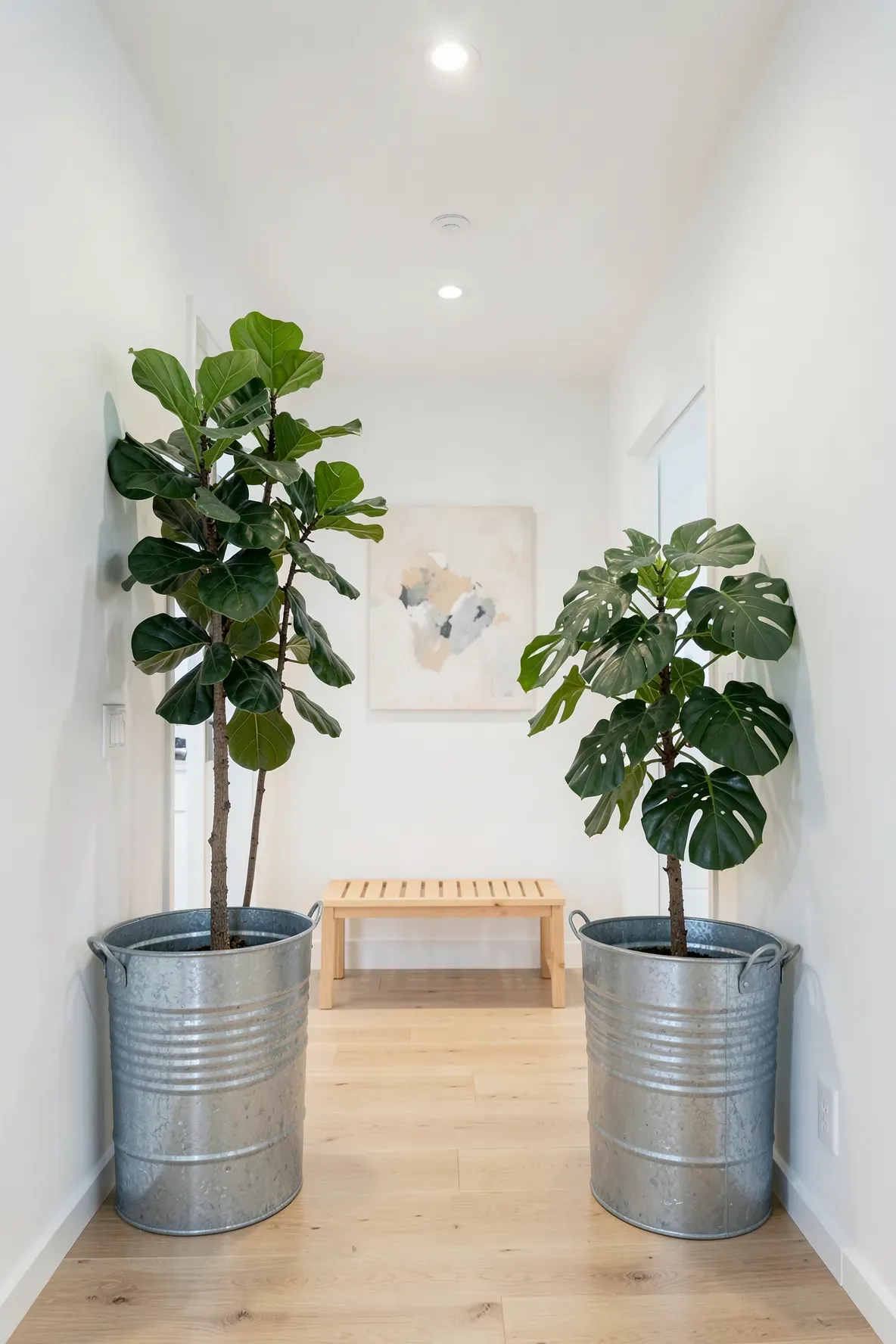 Large galvanized steel buckets holding tall indoor trees in a minimalist modern entryway.