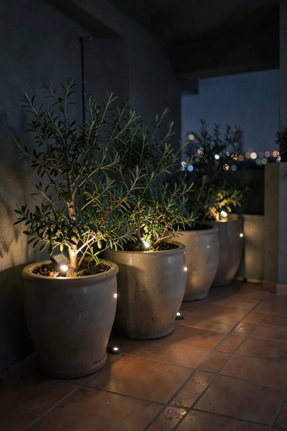 Solar powered path lights illuminating plants from inside large pots on a patio at night.