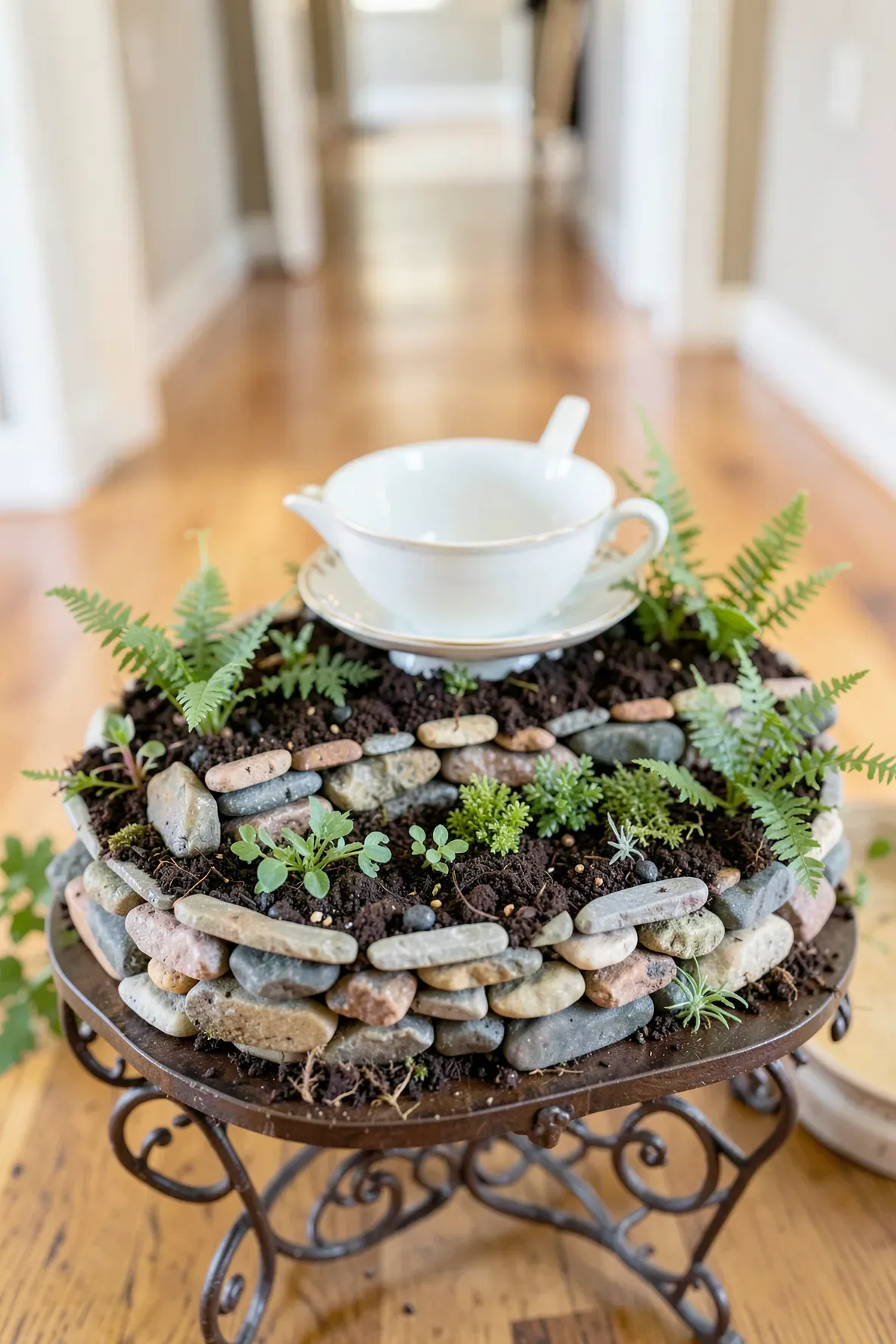 A teacup garden with a small stone wall separating two levels of plants and soil.