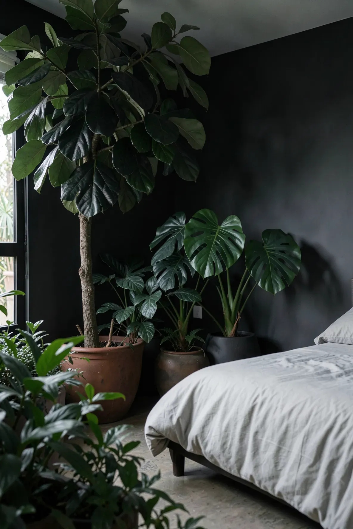 Large green plants in dark terracotta pots placed in a moody, dark-walled bedroom.