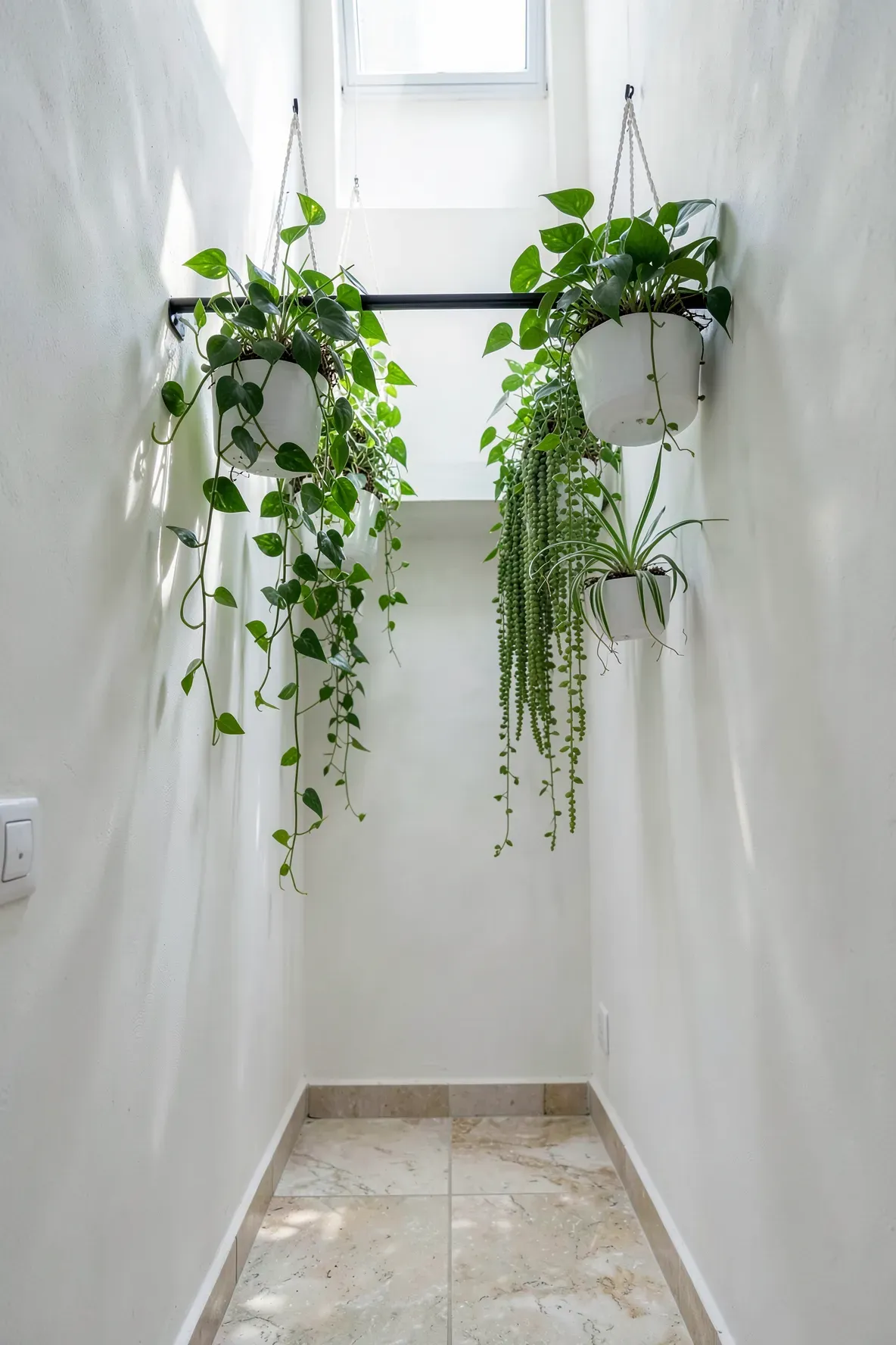 Lush green plants hanging from a tension rod in a narrow hallway to add life without using floor space.