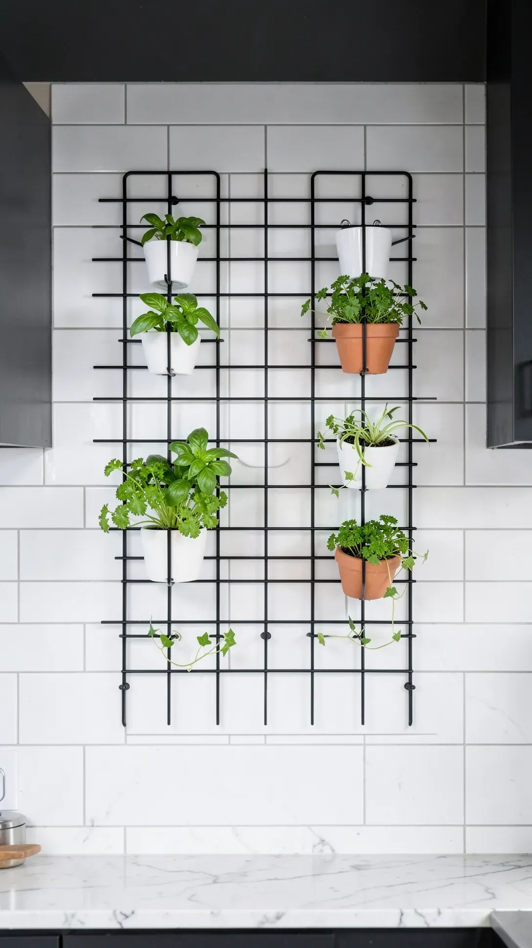 A black metal grid on a white tile wall holding various small potted herbs and plants.
