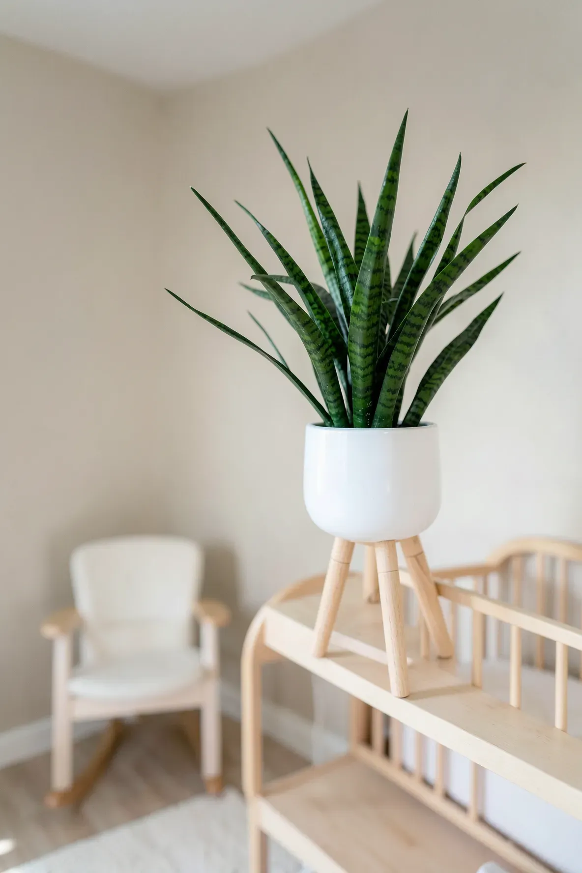 A green snake plant in a white pot on a high shelf in a minimalist, neutral-toned nursery.