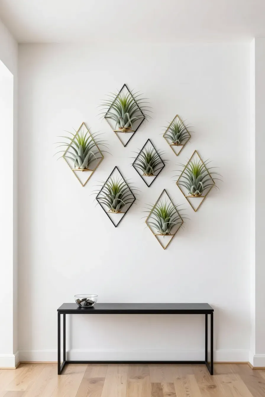Geometric black and gold wall planters with faux air plants in a minimalist white entryway.