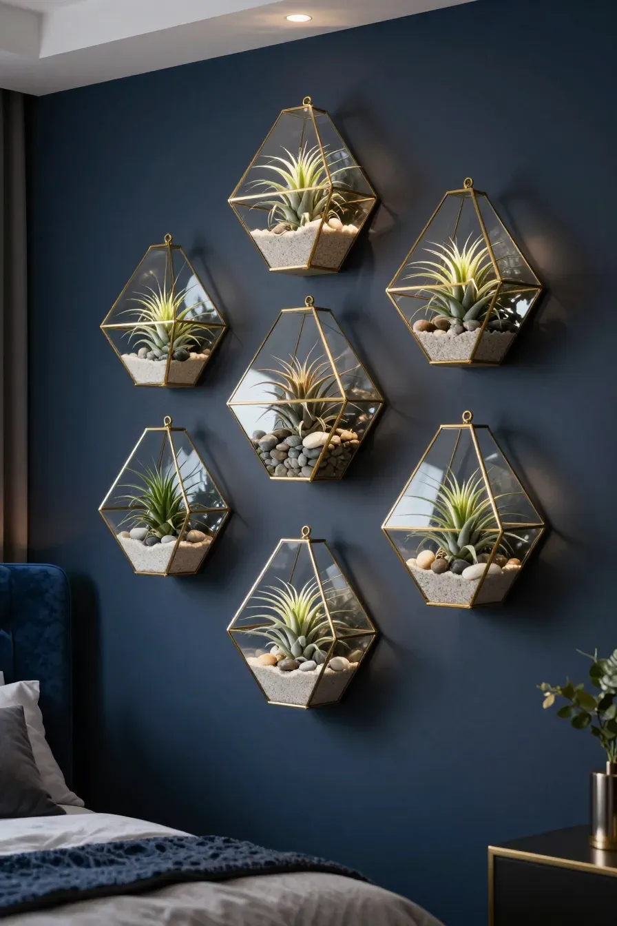Geometric glass and brass terrariums with air plants mounted on a navy blue bedroom wall.
