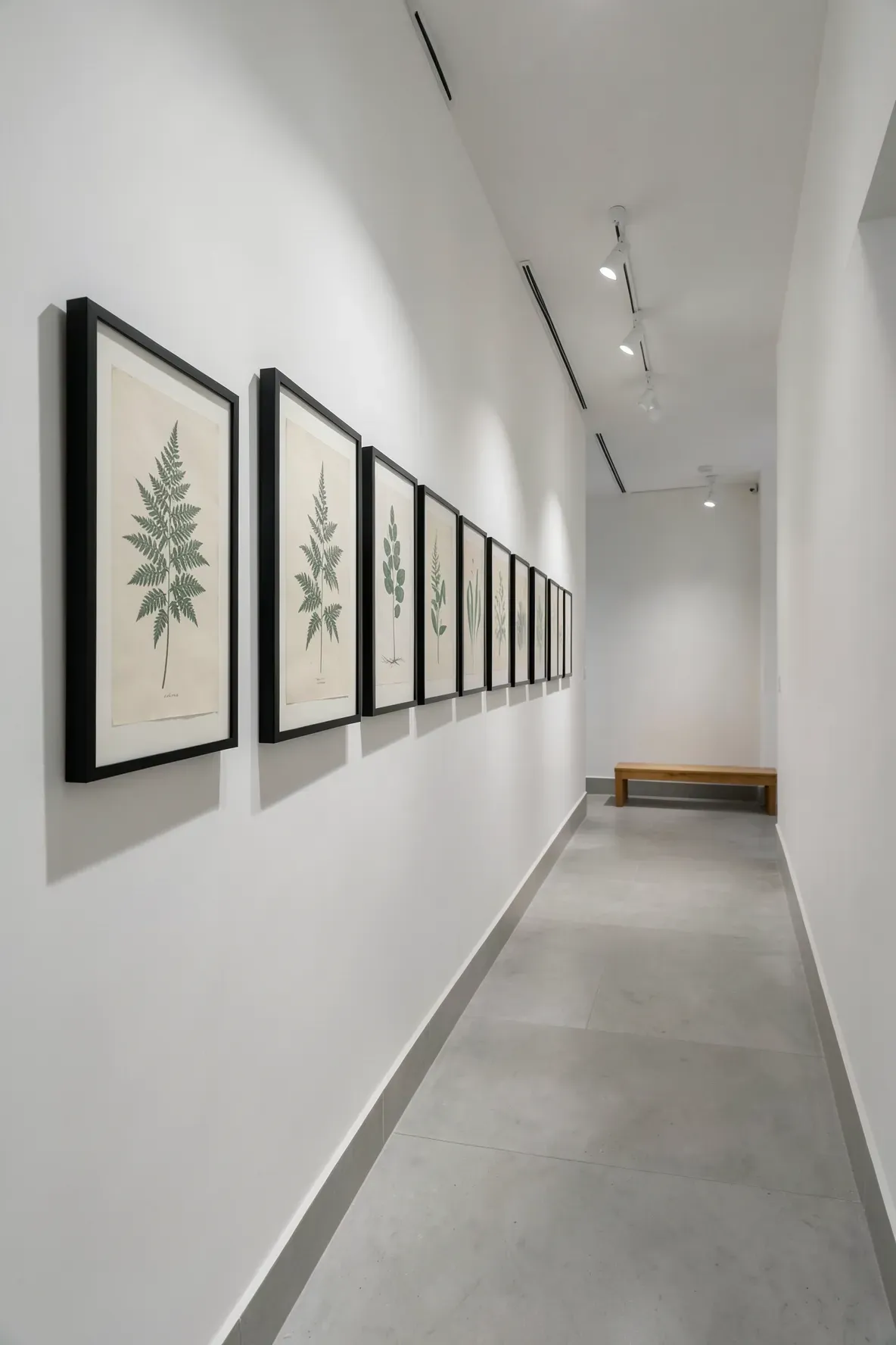 A row of identical framed botanical prints hanging on a white hallway wall.