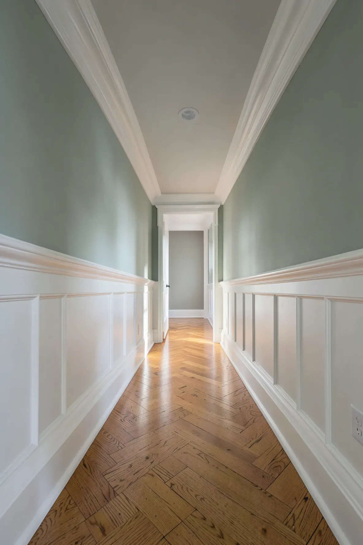 A hallway featuring elegant white crown molding, tall baseboards, and sage green walls.