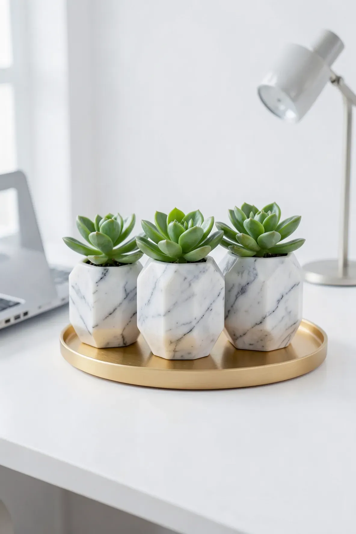 Three white marble hexagon pots with succulents arranged on a gold tray on a white desk.