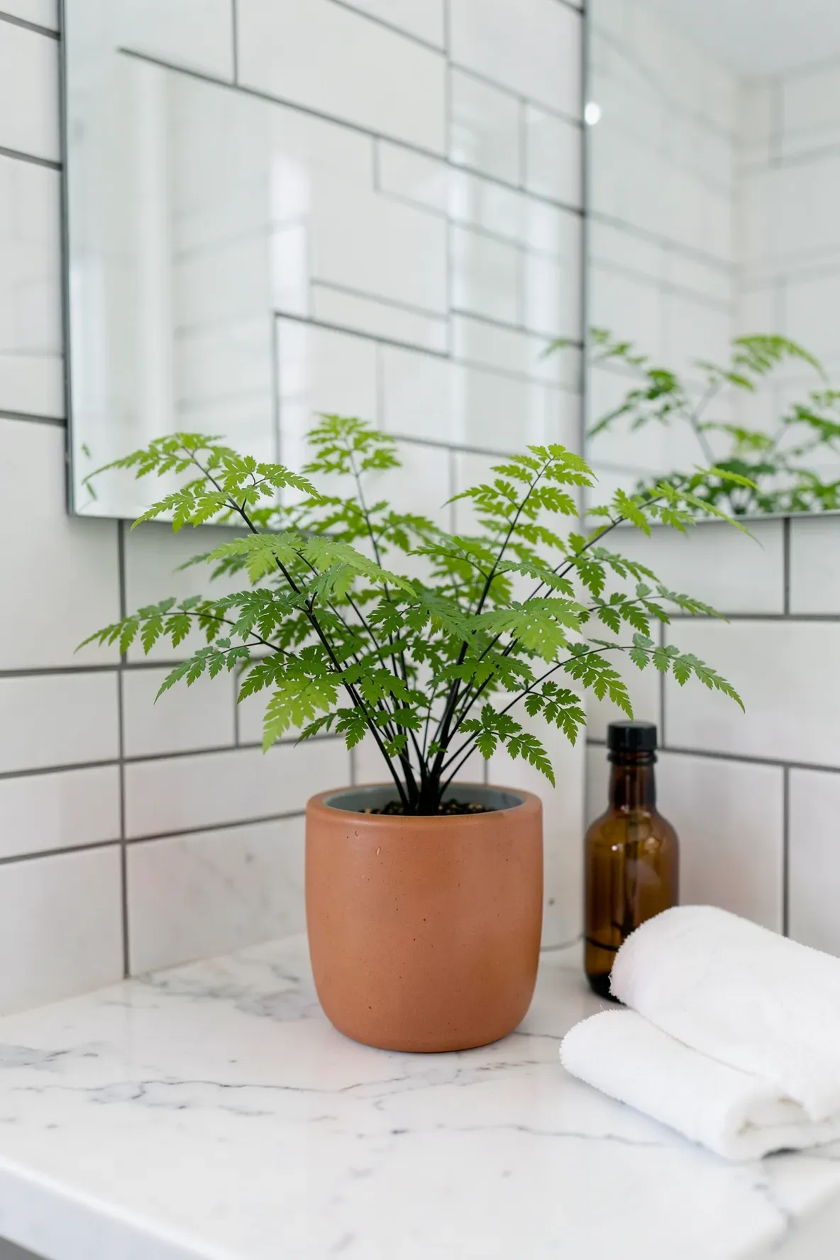 A delicate Maidenhair fern in a terracotta ceramic pot on a white marble bathroom counter.