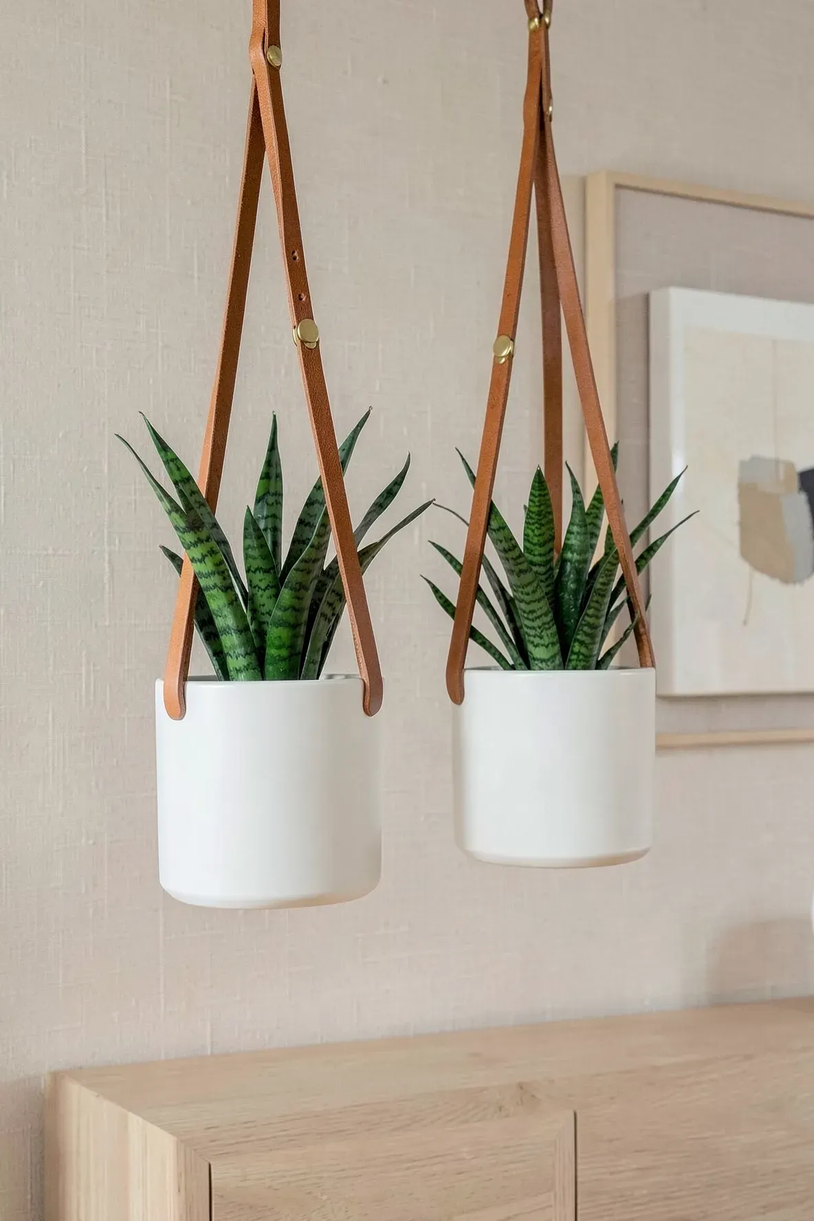Two cognac leather strap slings holding minimalist white ceramic pots with green plants.