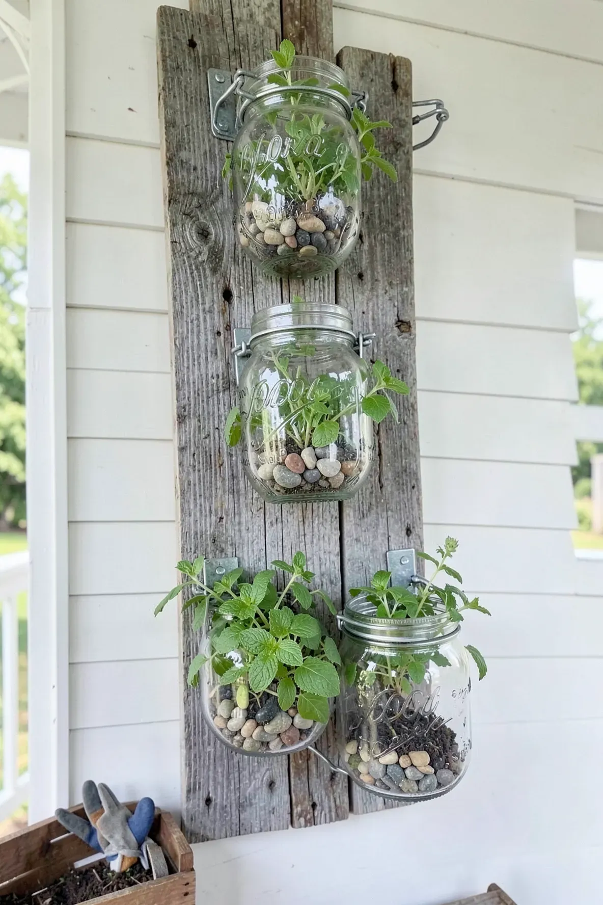 Mason jars filled with herbs attached to a reclaimed wood board with metal clamps.