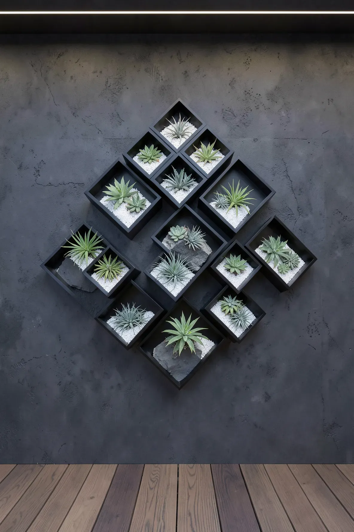 Black hexagonal wall planters arranged in a pattern on a modern concrete wall.