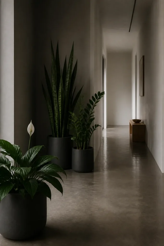 A minimalist hallway with snake plants and ZZ plants in matte pots under soft light.