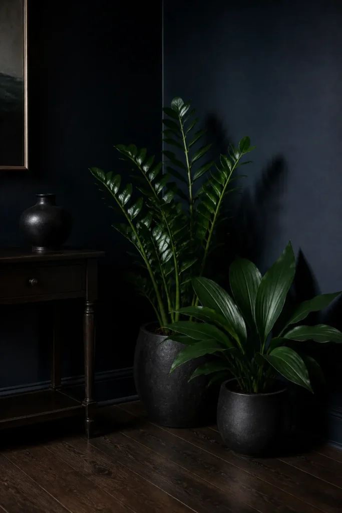 Glossy ZZ plants and Cast Iron plants thriving in a moody, dark-walled room corner.
