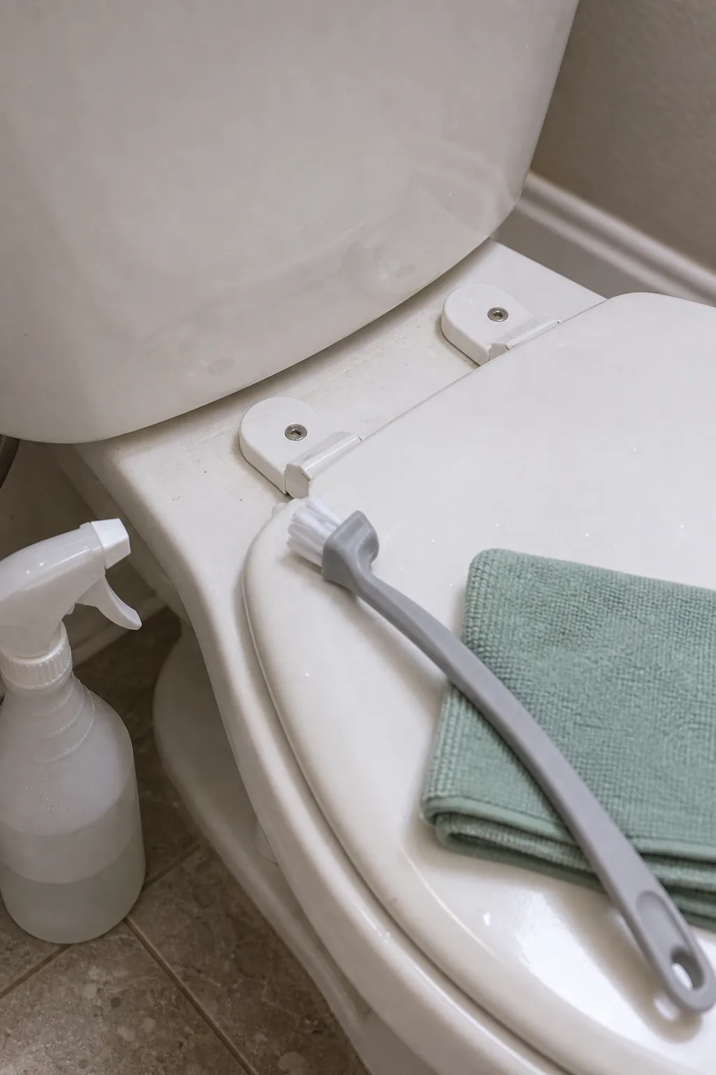 Toilet seat hinge caps and bolt area cleaned with a small brush and folded cloth