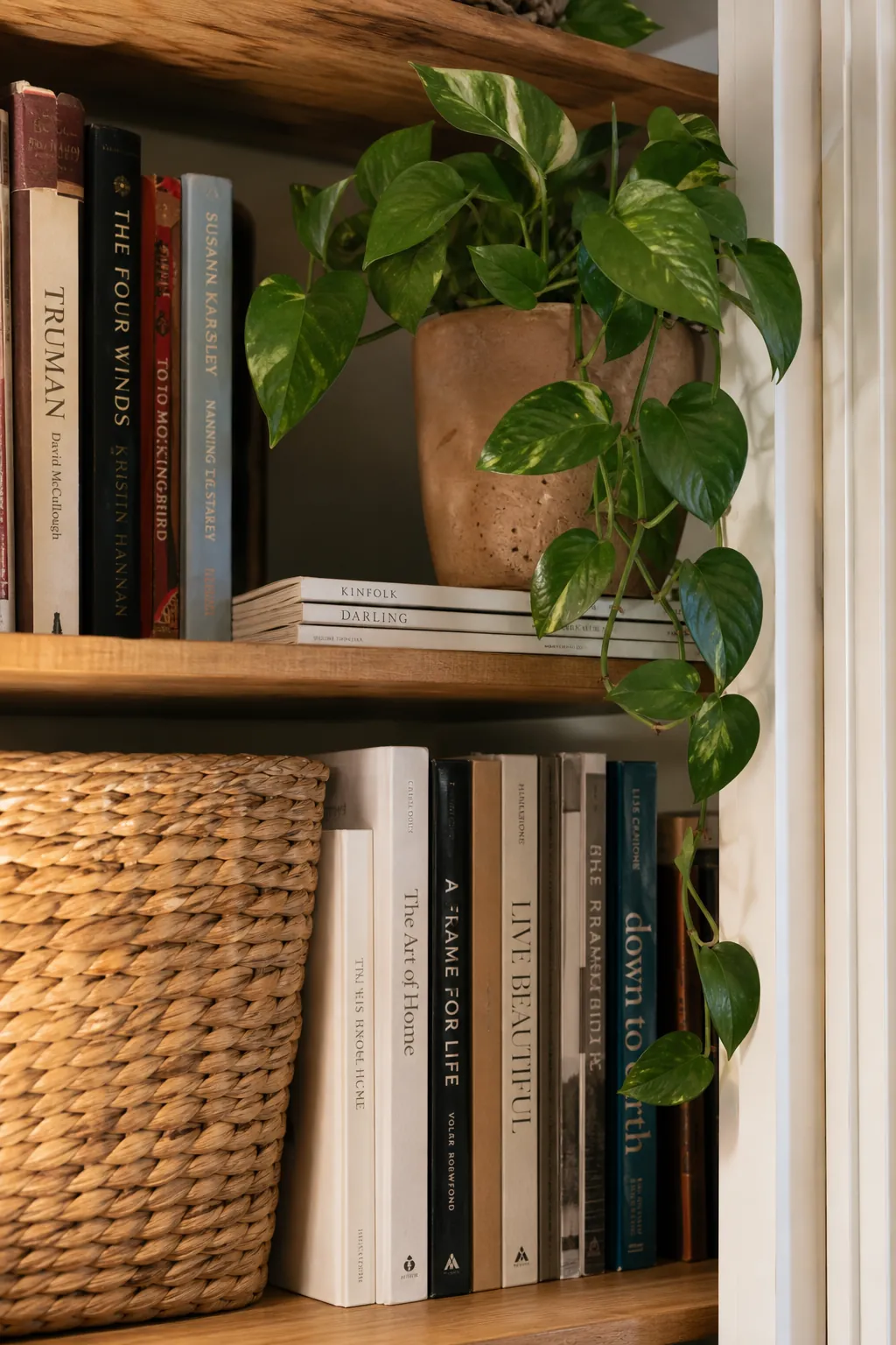 A restrained plant decor moment on a bookshelf with books, woven texture, and natural wood