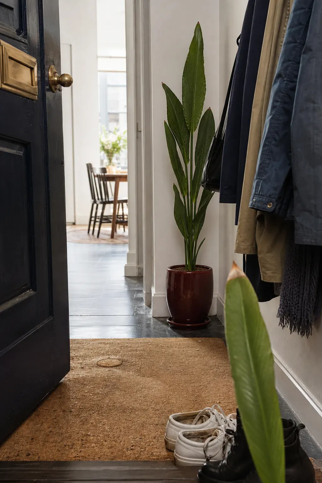 Single upright plant adding greenery to a narrow entrance