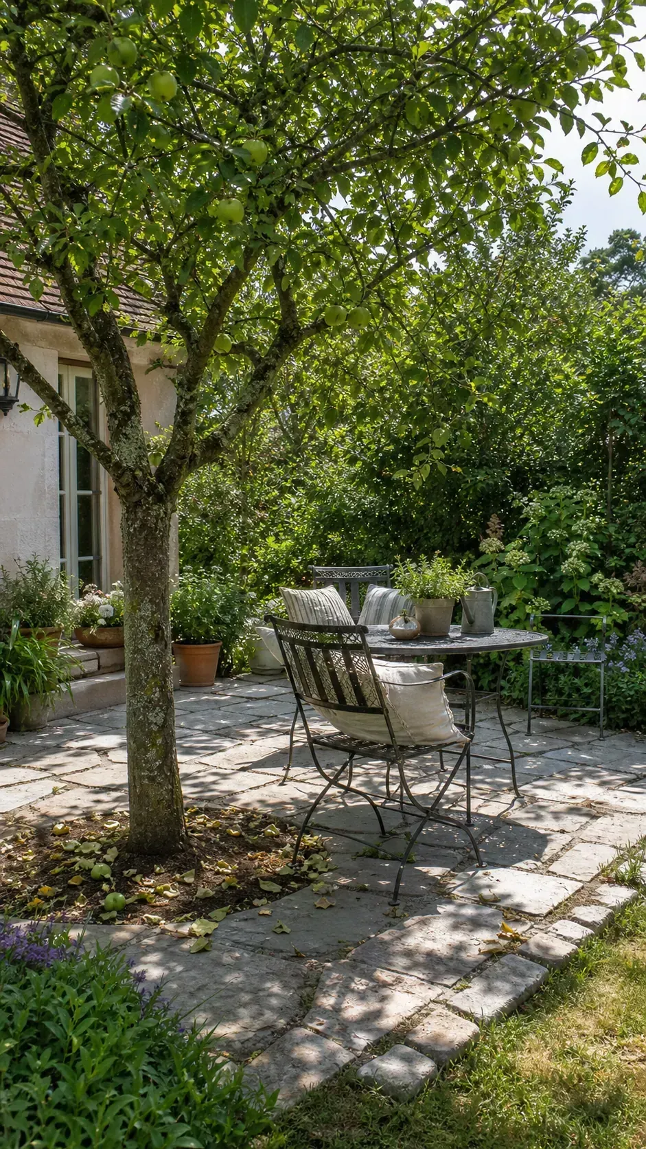 Small apple tree shading a French country garden patio