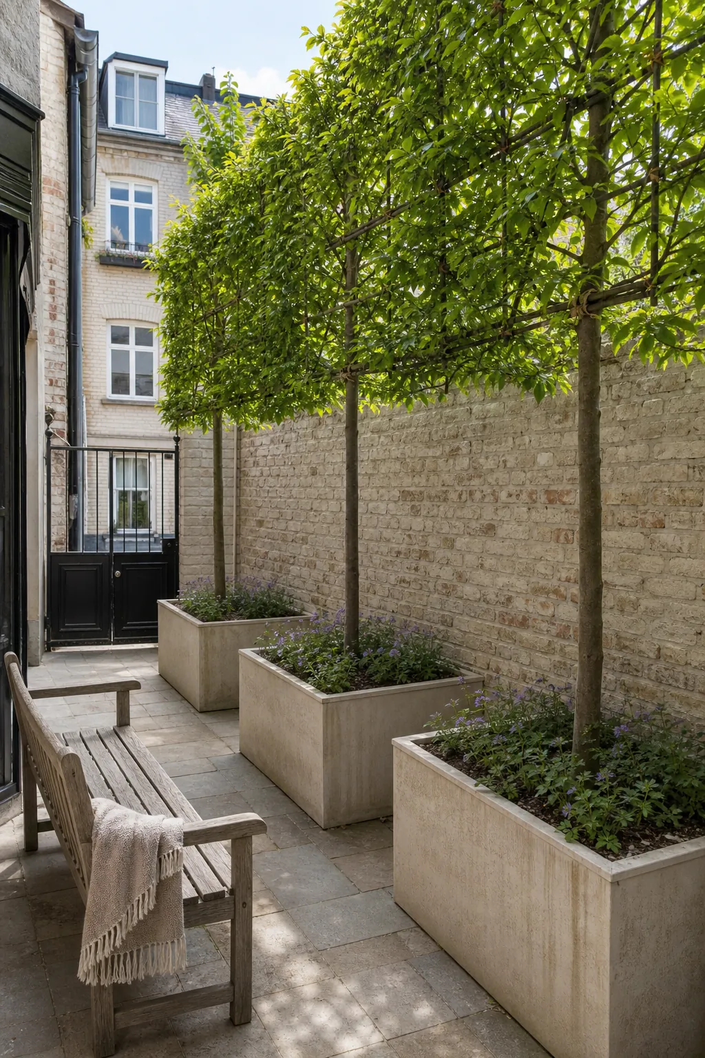 Small French courtyard framed by pleached trees in large planters