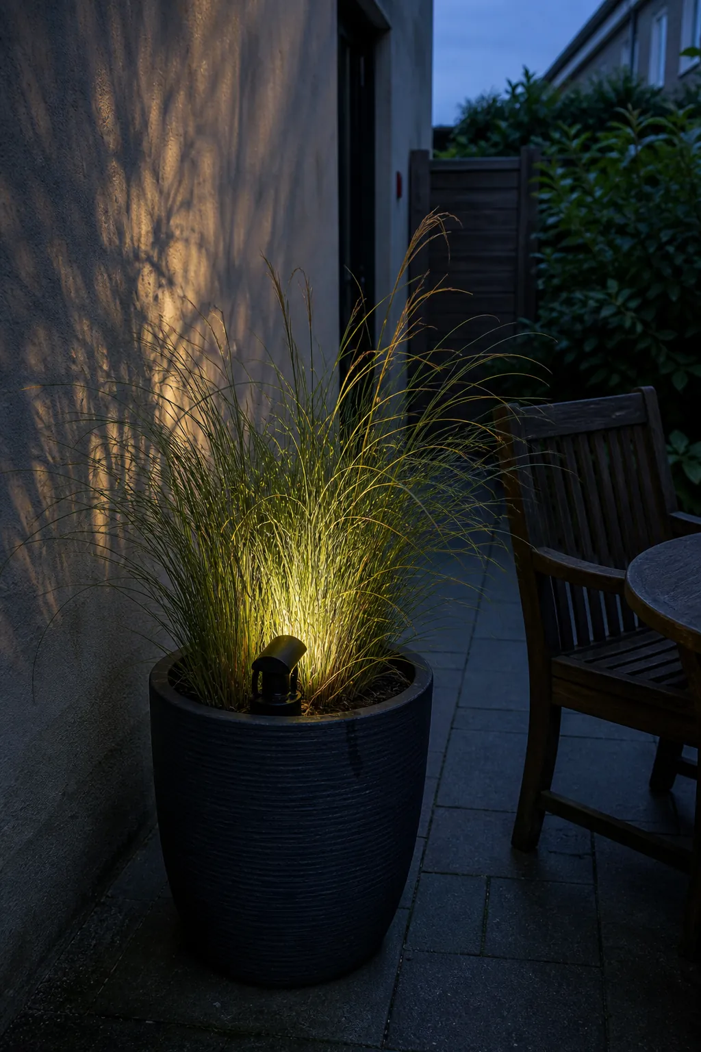 Cozy patio at dusk with one textured plant softly uplit