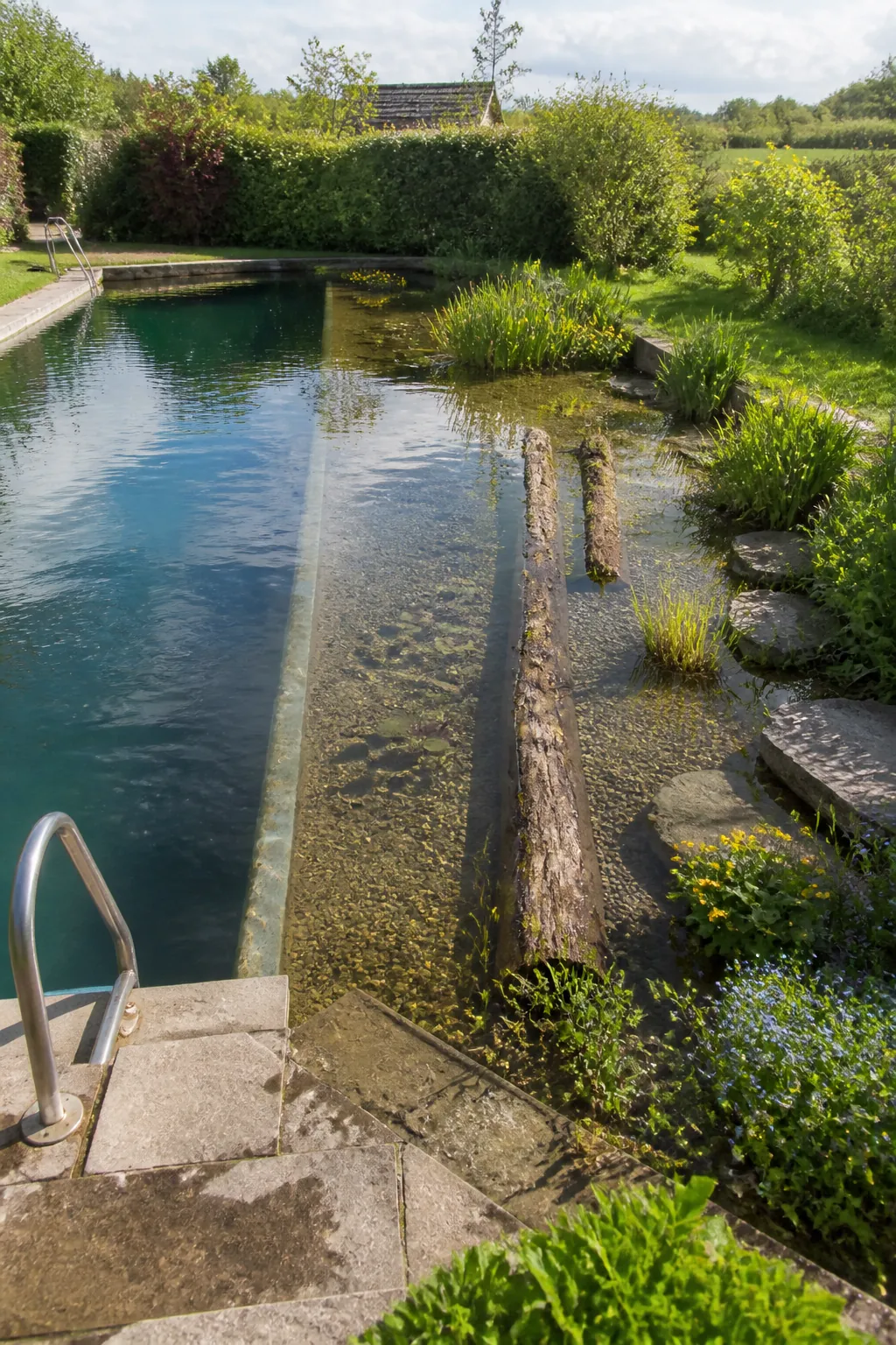 Natural swimming pool with a separate planted wildlife margin