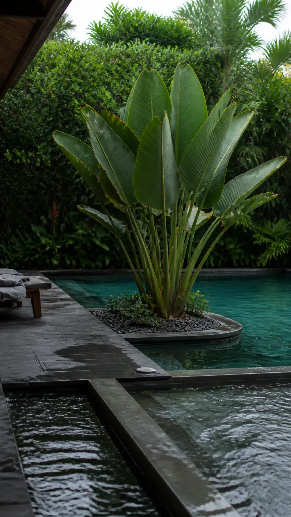 Tropical pool with a small island of sculptural foliage