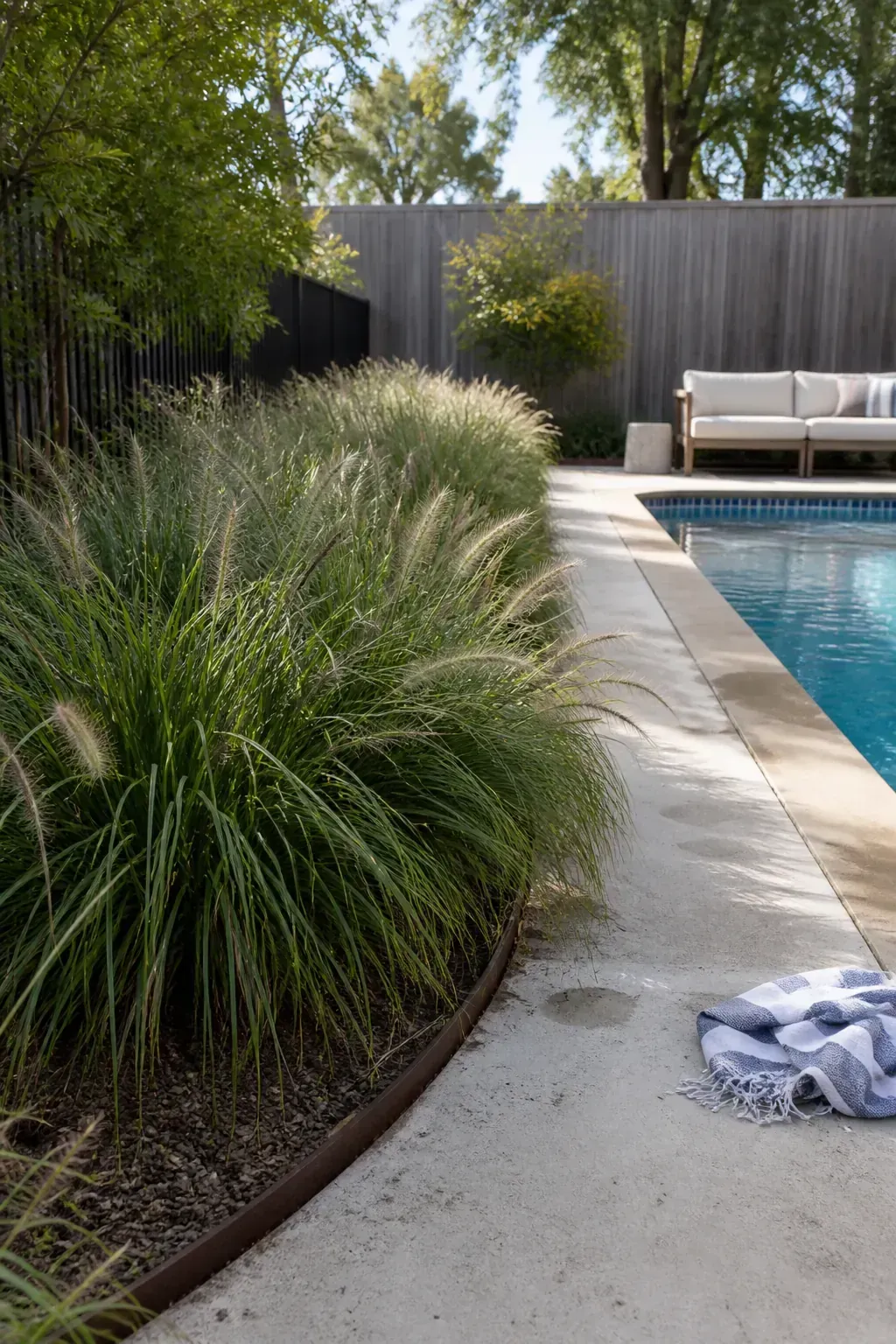 Repeated drifts of ornamental grass softening a pool terrace
