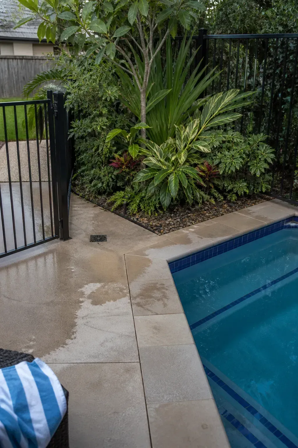 Layered foliage transforming an empty pool fence corner