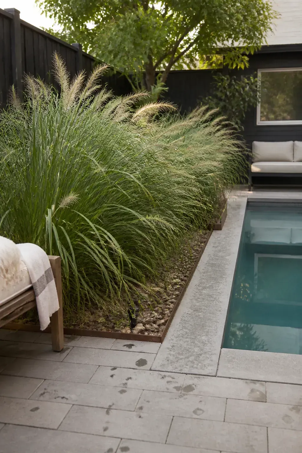 Single bold plant mass softening a compact backyard pool