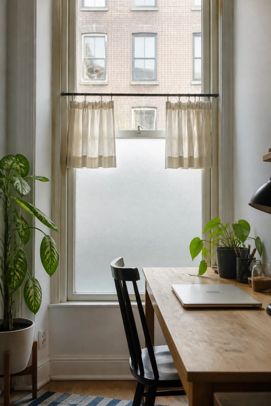Renter-friendly window privacy preserving soft light in a studio