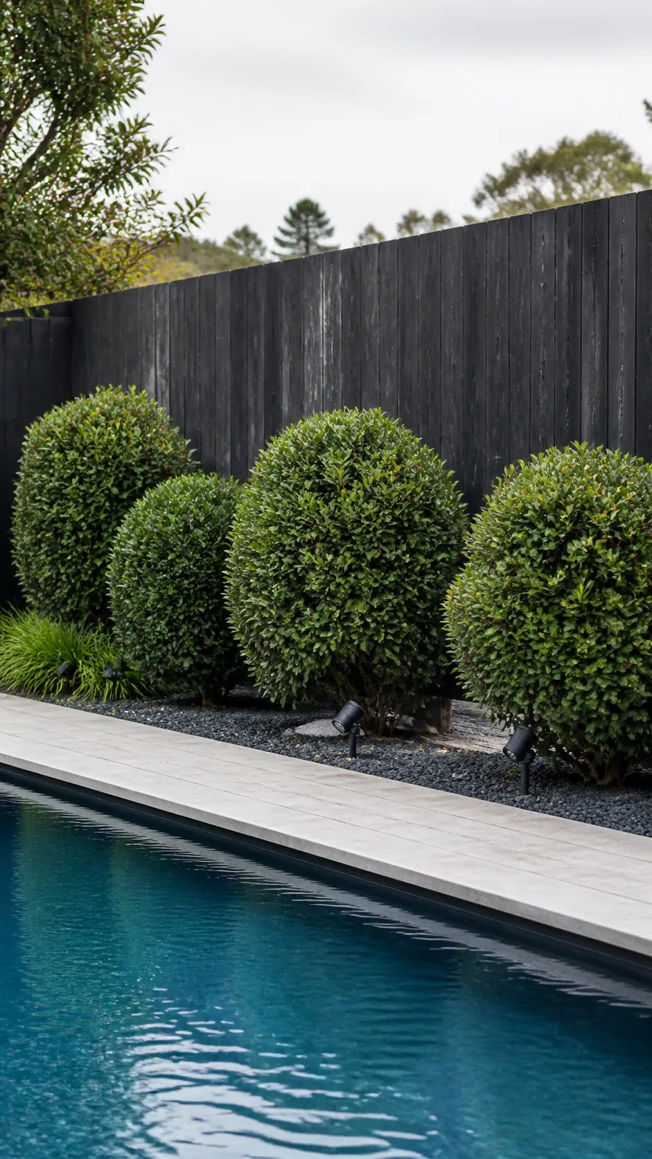 Compact low-litter evergreen shrubs creating structure around a modern pool