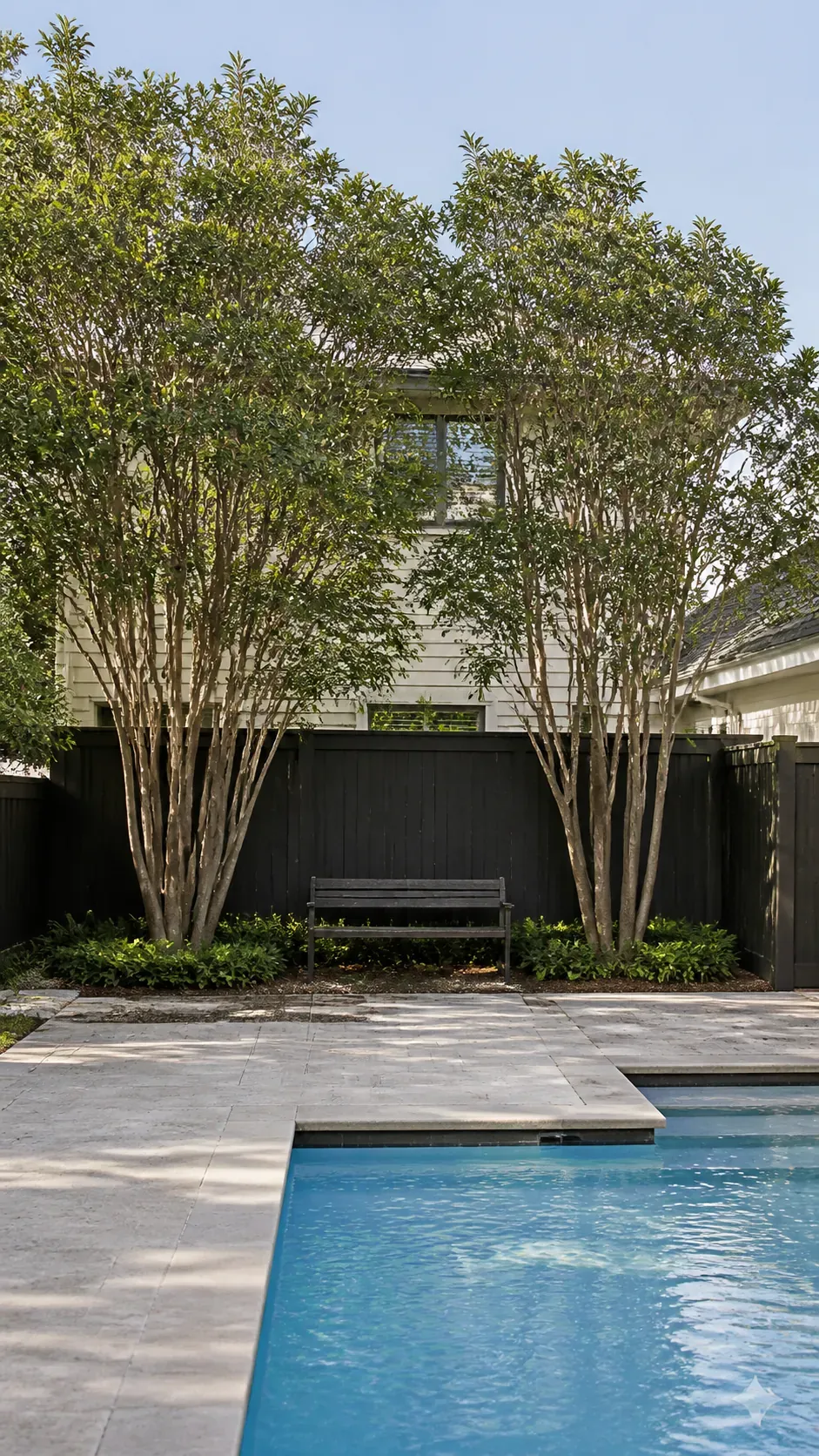 Small-canopy trees set beyond the deck to block upper pool views