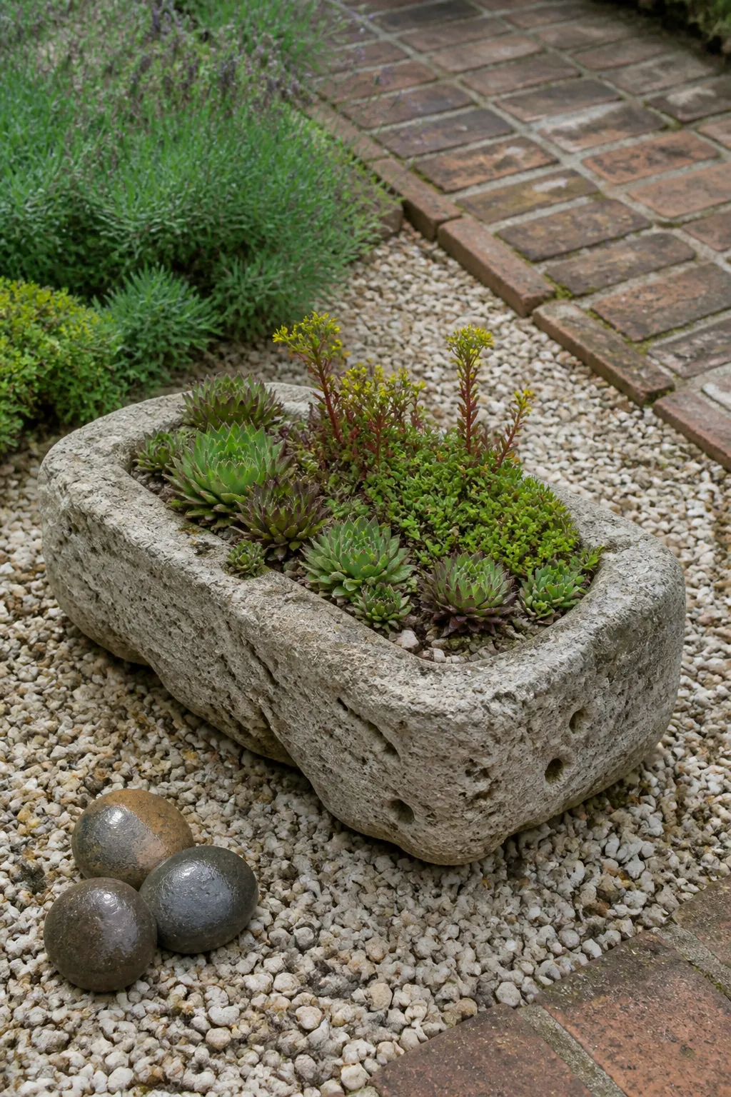Low carved stone trough holding sempervivum and sedum