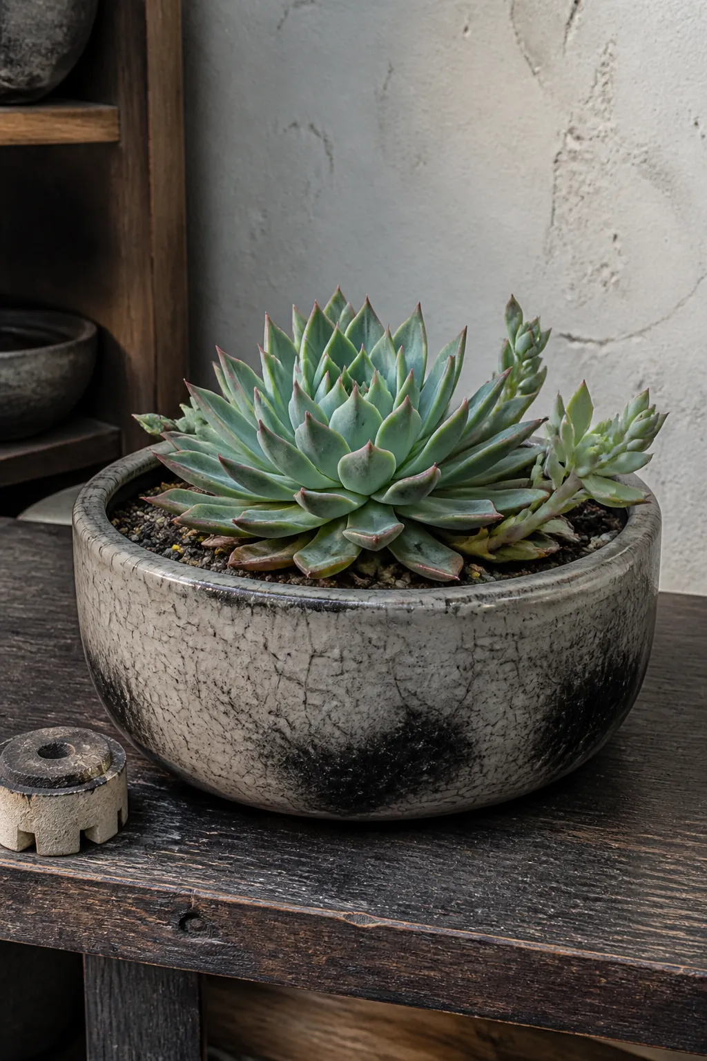Wide crackled raku cachepot displaying one geometric rosette