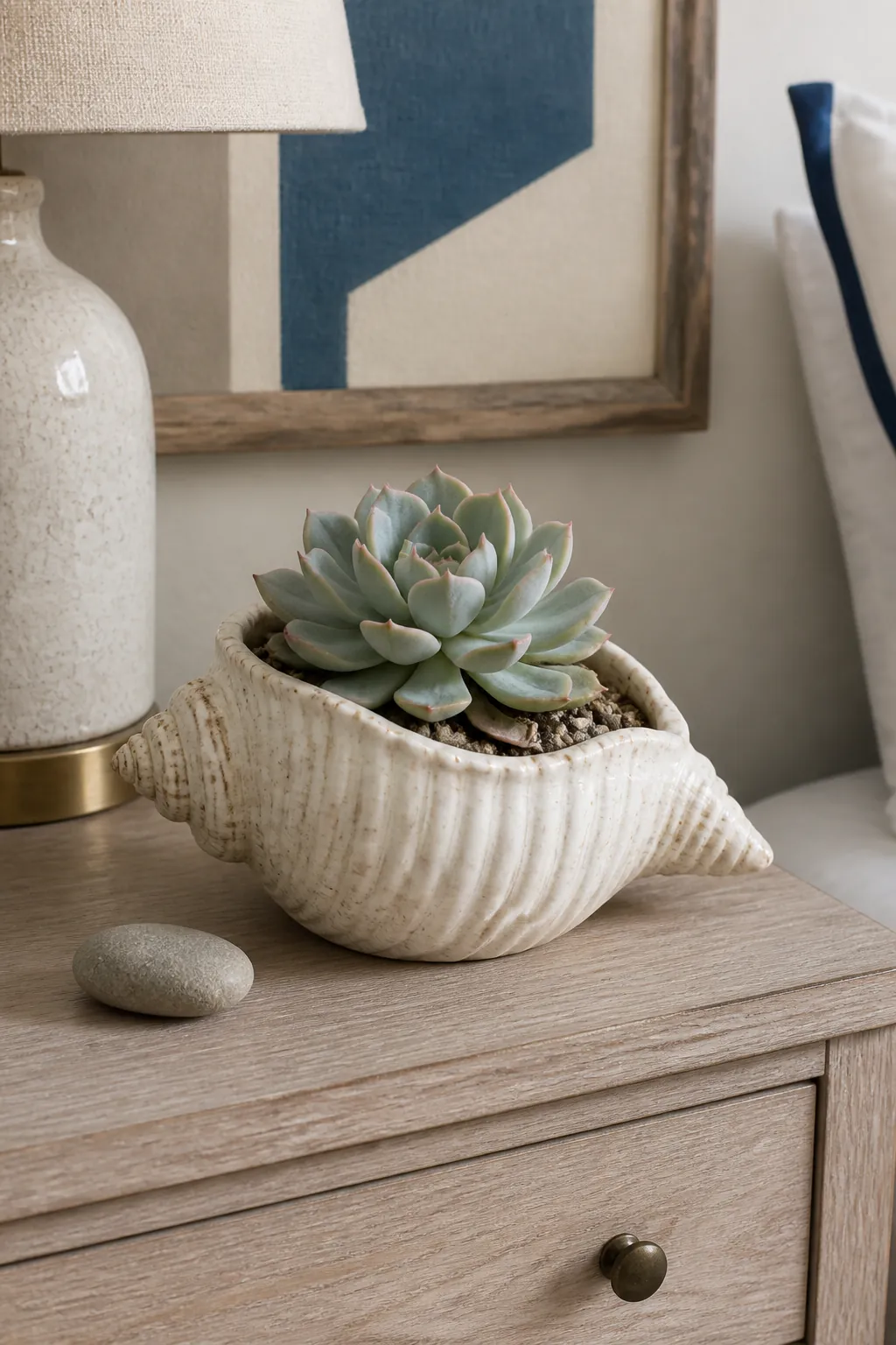 Shell shaped ceramic pot carrying one pale echeveria