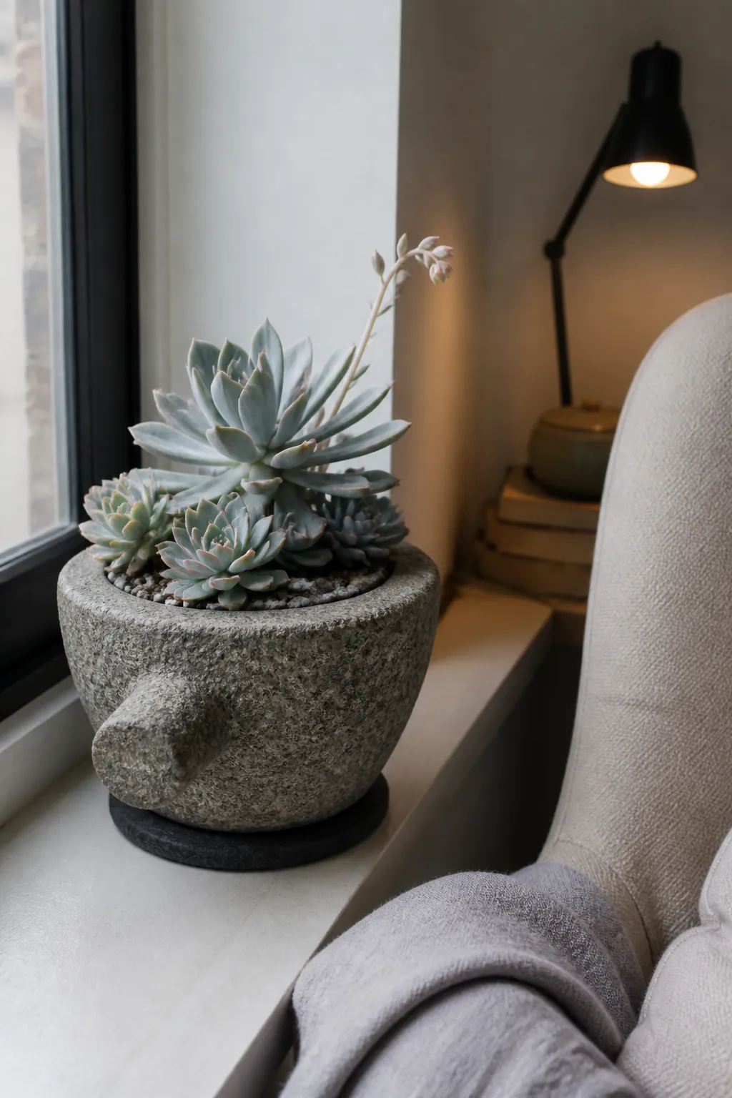 Echeveria planted in an old stone mortar on a window sill