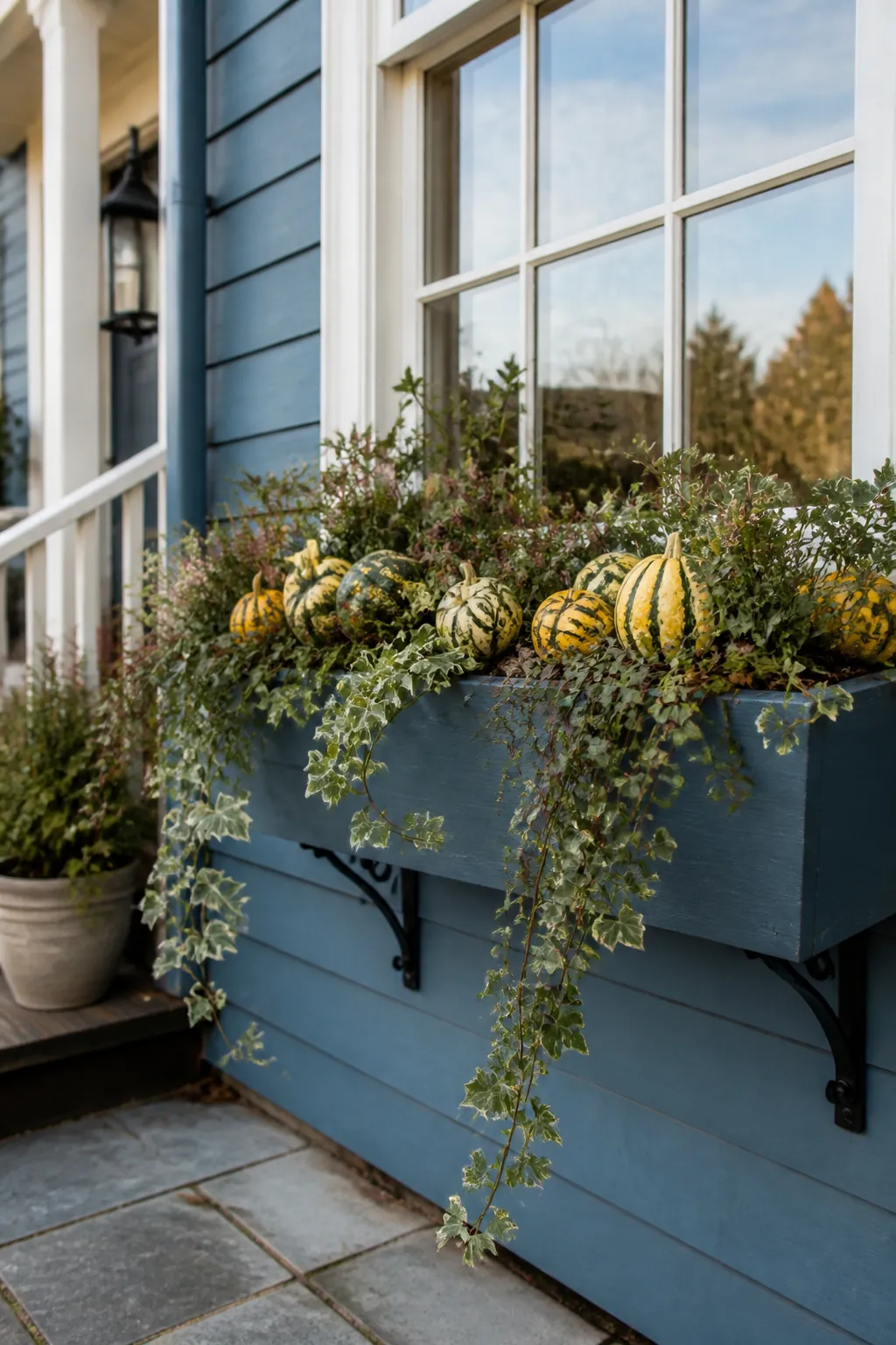 Small gourds nestled among foliage in an autumn window box